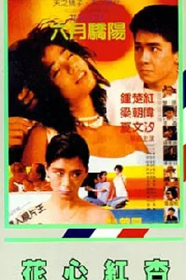爱情岛论坛.