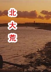 爱情岛论坛.